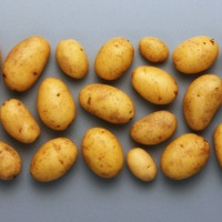  Quick and spicy: Fingerfood zur Fu�ball-EM