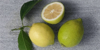 Sommerdesserts aus dem AEG Multi-Dampfgarer Sommerdesserts aus dem AEG Multi-Dampfgarer