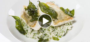 Videorezept: Kräuter-Risotto mit Zander