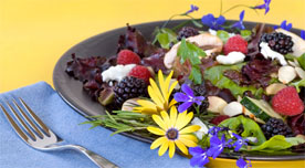 Frühling - Kochen mit Blüten