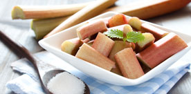 Frühling - Rhabarber