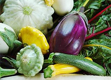 Zucchini & Aubergine