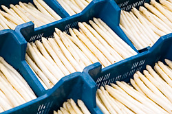 Spargel kaufen