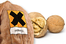 Nussallergie