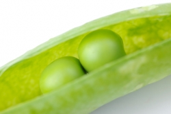 Erbsen in der Hülle