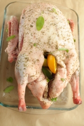 G�nsebraten