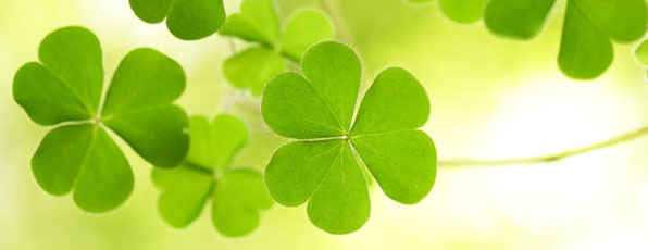 St. Patricks Day