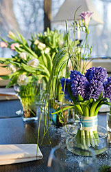 Fr�hlingsblumen in Vasen als Tischdeko