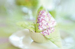 Serviette falten als Schmetterling