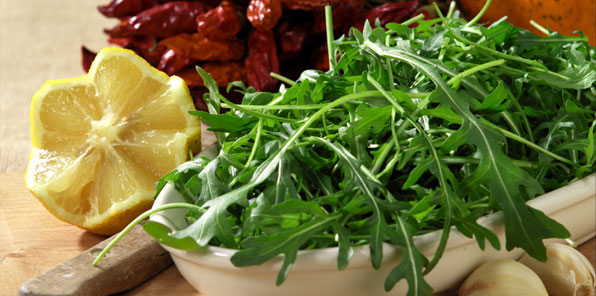 Rucola