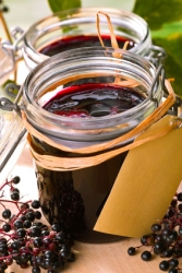 Holunderbl�tensirup - Holundergelee