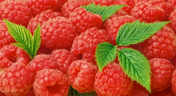 Himbeeren
