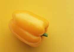 Paprika
