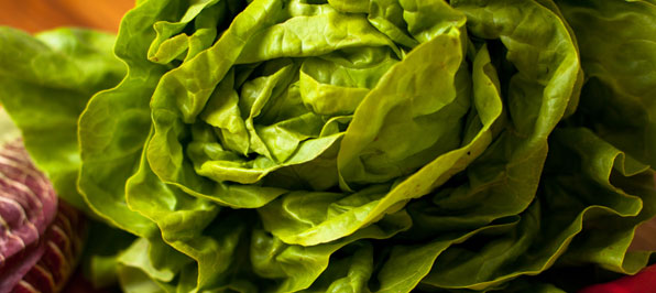 Der Kopfsalat – Gesund ernähren mit Köpfchen | Chefkoch.de