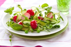 Gurkensalat