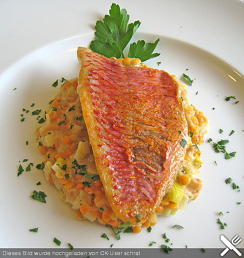 Fisch Auf Tomatenbett — Rezepte Suchen