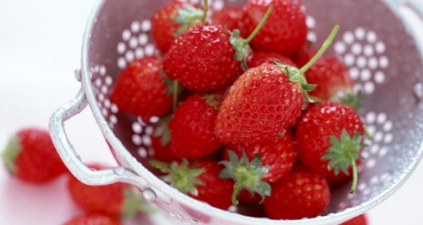 Erdbeeren
