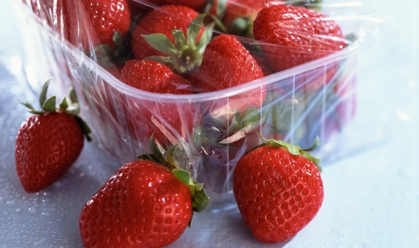 Erdbeeren