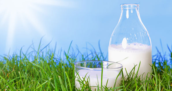 Gesunde Ernährung - Milch