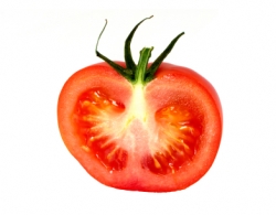 Tomate