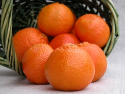 Mandarinen