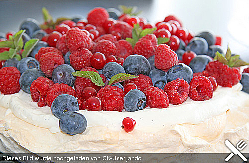 Die australische Küche - Rezepte von Lamington bis Damper | Chefkoch.de