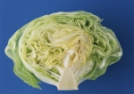 Eisbergsalat