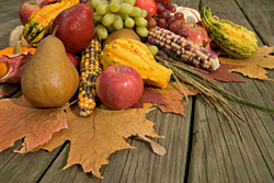 November Gemüse