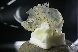 Styropor Peccorini