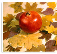 Herbstzeit