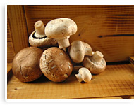 Champignons