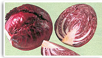 Rotkohl