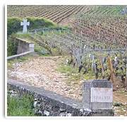 Burgund