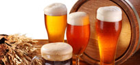 Bier: leckere Rezepte und spannende Fakten