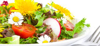 Fr�hling: Frische Rezepte f�r saisonale Gerichte