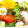 Fr&uuml;hling: Frische Rezepte f&uuml;r saisonale Gerichte