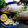 Karpfen blau und andere Fischgerichte mit Karpfen