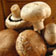 Pilze: 10 Unwahrheiten &uuml;ber Champignons, Maronen & Co