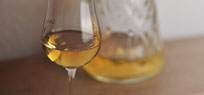 Whisky f�r Anf�nger � wie kauft und genie�t man ihn?
