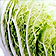 Salat und Salatdressing  - Salatsorten von A bis Z