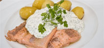 Lachsforelle mit Frankfurter Gr�ne Sauce
