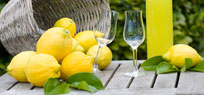 Lik�r selbst machen: Rezepte und Tipps