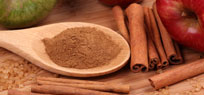 Zimt: Vom Zimtstern �ber Kochen bis zu Wellness