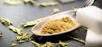 Stevia: Zuckers�� ohne Kalorien