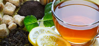 Tee: Alles �ber Mate, Oolong, Gr�nen Tee & Co