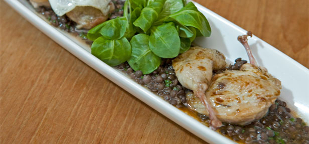 Gebratene Wachtel auf Belugalinsensalat