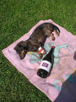 Nochmal Sommerwein 3357640715