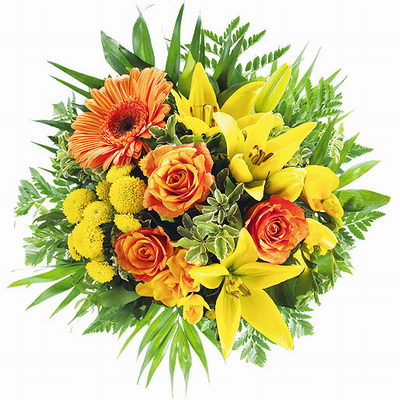 Katrin25 03 heut Geburtstag 4221094990