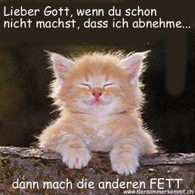 verr�ckteste eure KAtze gefressen 570611222