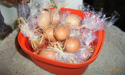 Biskuiteier mal Ostern 1263163329